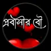 user2411628012555