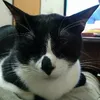 handsome_yao