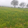 khadijayahya402