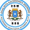 hassansource