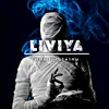 liviya903
