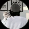 shadin50