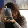 hehebalik