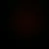 user5971177488019