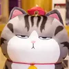 odaycodoxinhcuc