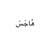 wt_nz23