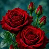 satakshi228