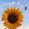 SunFlower Letrik