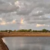 ngziauu