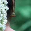 xannaatzubeen99
