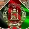 q_jamshidi