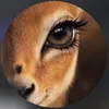 appleid9380