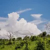 khoukhakhoukha97