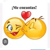 mara.carolina.y.je