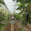 vanbinh_92