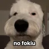 luishoran176
