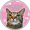 Pepper the Rescue Cat 🐈‍⬛