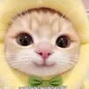 nay_asmeen25