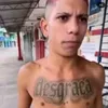 vini_prz