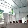 vn.lau8