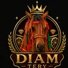 diamterry313