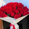 dilya_d1aa