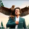 ayazkhan8135