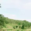 susanti030972_