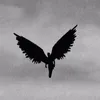 dvhrdv