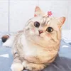 Min Hy Tạp Hoá