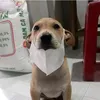kcid111