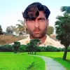 shabran277