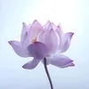 cherrynguyen0705