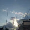 userfound10010