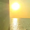 dancinglillies9