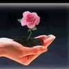 gulamsarwar2251