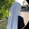sania01301