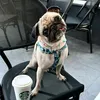 pug232316