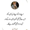 shehzor.ghumman