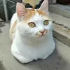 aneyeverafter1