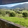 whenuahoki25