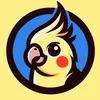 fiflak848