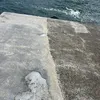 user392455826671