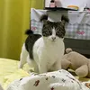 td