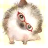 xinhyeu0100