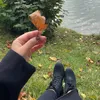 nnona_4