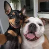 Nida and Niko
