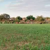 user8190115702047