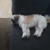 erendira.de.la.cr3