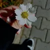 maryam.abdoo